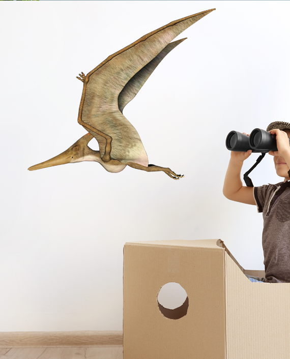 Pteranodon
