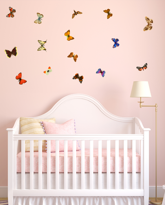 butterflies