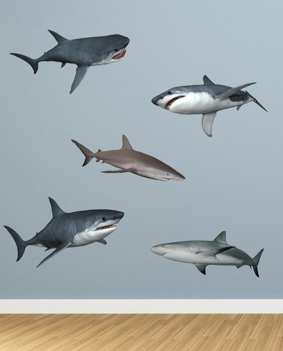 shark full color 5pc