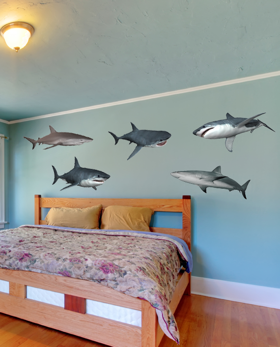 shark-full-color2-708×580