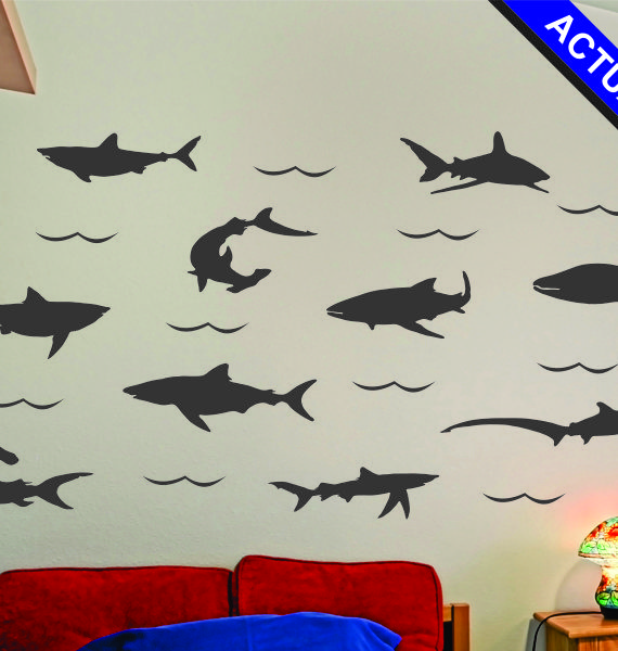 sharks